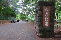着せ恋