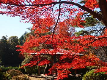 東屋