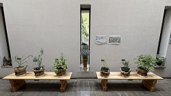 ハーブ展示_20250629