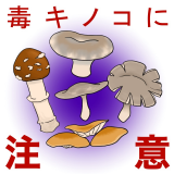 毒キノコ