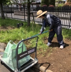 除草作業