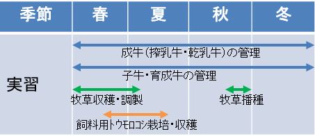 酪農学科年間スケジュール