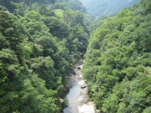 白川橋　上流の風景