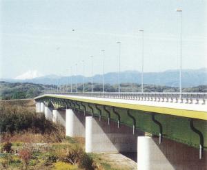 久下橋（新）の全景　富士山が先に見える