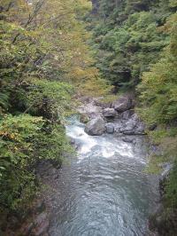 大血川橋の下流の風景