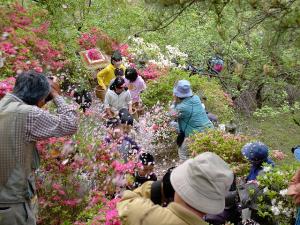 塚越の花祭り