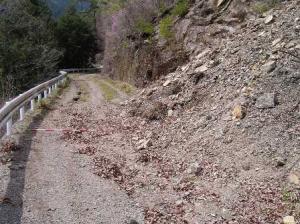 森林管理道にて斜面の崩落が発生している写真です。