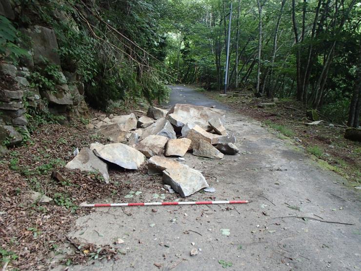 森林管理道にて落石が発生している写真です。