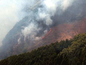 山火事の写真（燃える様子その2）