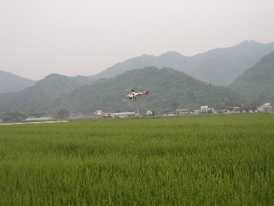 水稲・小麦・大豆