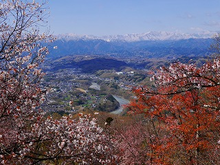 初春に美の山公園から秩父盆地を眺めた様子。雪をかぶった秩父連山が見える。