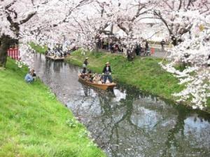 新河岸川（川越市）