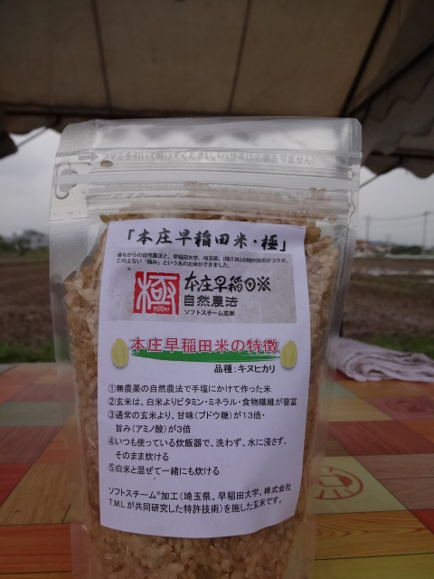 本庄早稲田米(玄米)