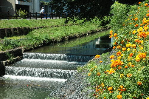 川越市（新河岸川）の写真