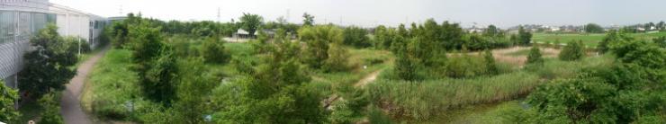 生態園全景