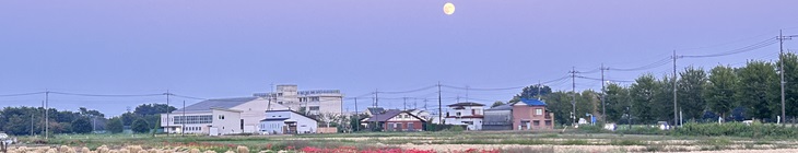 彼岸花と中秋の名月