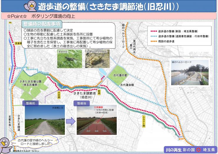 さきたま調節池における遊歩道整備図