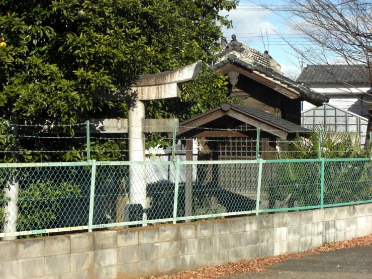 toyainari