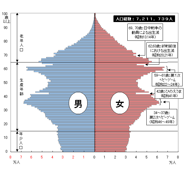 人口ピラミッド（平成21年1月1日現在）