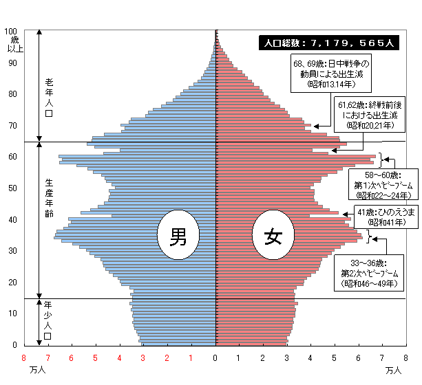 人口ピラミッド(平成20年1月1日現在)