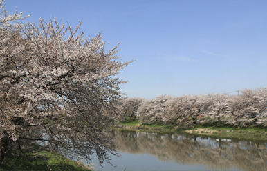 hasudashi-2