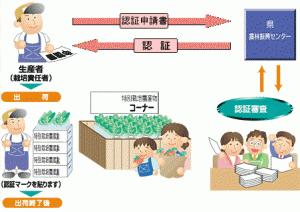 県特別栽培農産物認証制度の概要2
