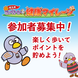 健康マイレージ画像