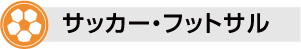 サッカー・フットサル